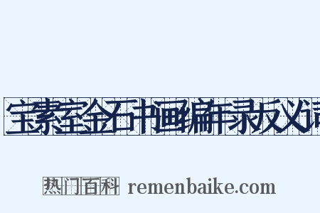 宝素室金石书画编年录反义词是什么意思的图片